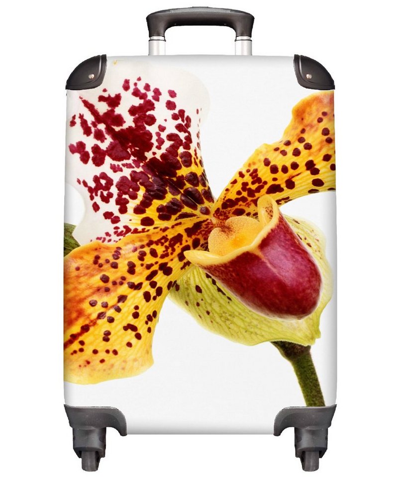 MuchoWow Handgepäckkoffer Orange Orchidee, 4 Rollen, Reisetasche mit rollen, Handgepäck für Ferien, Trolley, Reisekoffer von MuchoWow