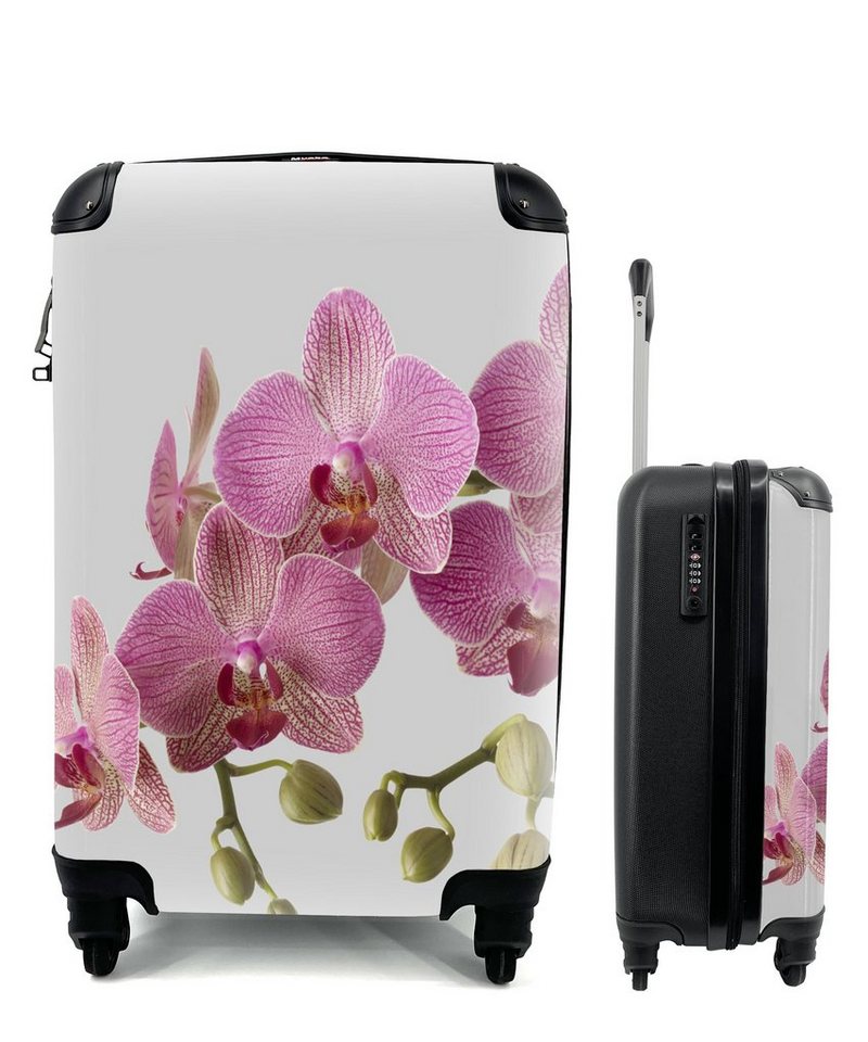 MuchoWow Handgepäckkoffer Orchideen auf grauem Hintergrund, 4 Rollen, Reisetasche mit rollen, Handgepäck für Ferien, Trolley, Reisekoffer von MuchoWow