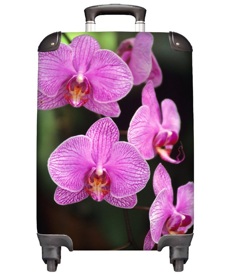 MuchoWow Handgepäckkoffer Rosa Orchidee, 4 Rollen, Reisetasche mit rollen, Handgepäck für Ferien, Trolley, Reisekoffer von MuchoWow