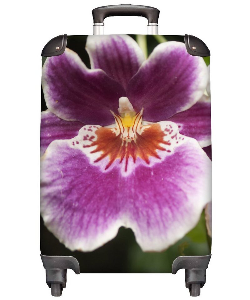 MuchoWow Handgepäckkoffer Wilde Orchidee, 4 Rollen, Reisetasche mit rollen, Handgepäck für Ferien, Trolley, Reisekoffer von MuchoWow