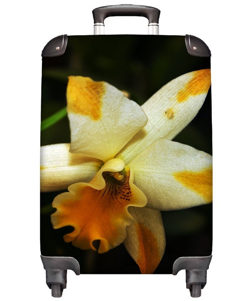 MuchoWow Handgepäckkoffer Zwei Orchideenblüten, 4 Rollen, Reisetasche mit rollen, Handgepäck für Ferien, Trolley, Reisekoffer von MuchoWow