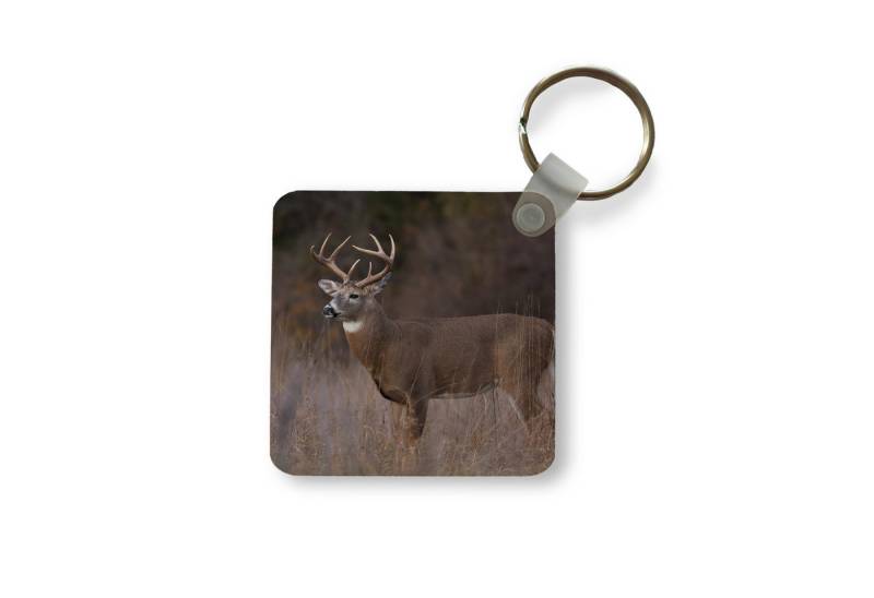 MuchoWow Schlüsselanhänger Herbst - Hirsche - Gras - Natur - Tiere, Quadratisch, Accessoire Auto / Haus / Rucksack / Handtasche, 5x5 cm von MuchoWow