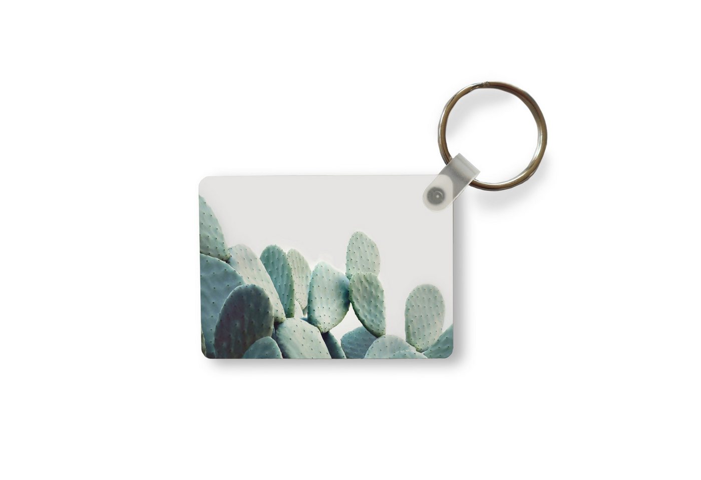 MuchoWow Schlüsselanhänger Kaktus - Grün - Pflanze - Natur, Rechteckig mit Schlüsselring, Geschenk, Accessoire, 6x4 cm MuchoWow Schlüsselanhänger Kaktus - Grün - Pflanze - Natur, Rechteckig mit Schlüsselring, Geschenk, Accessoire, 6x4 cm von MuchoWow