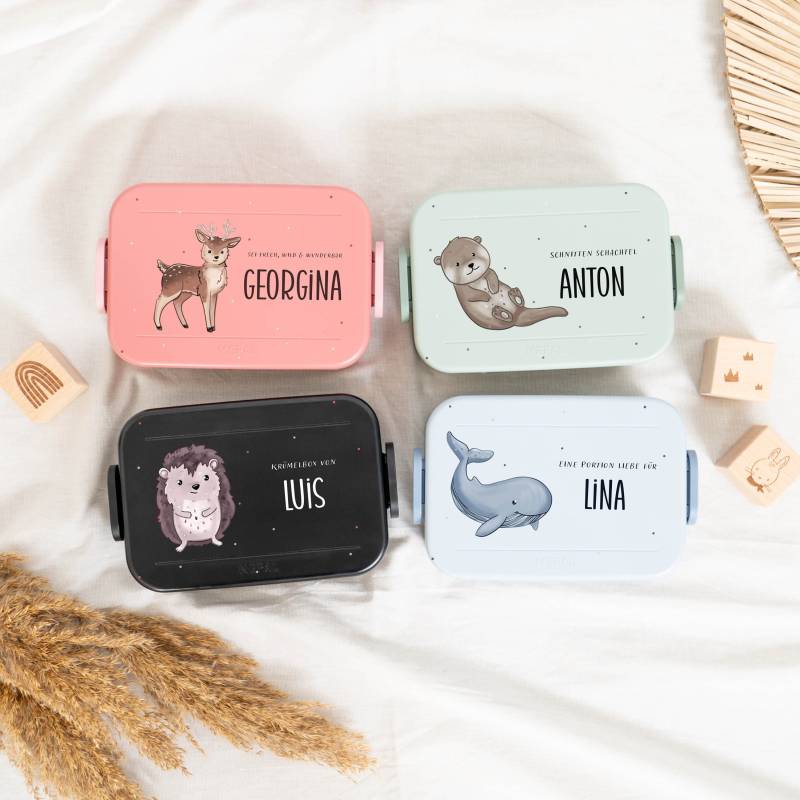 Mepal Brotdose Personalisiert Personalisierte Geschenke Für Kinder Einschulungsgeschenk, Kindergarten, Kind von Muckelmeister