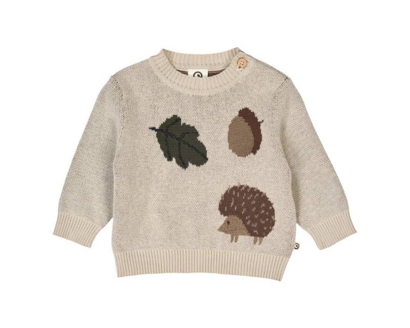 Müsli by GREEN COTTON Strickpullover 1524006000 Jungen Strickpulli, Wollpullover, Feinstrick, Grobstrick, Kuschelpullover von Müsli by GREEN COTTON