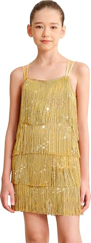 Mulnall Mädchen Latin Quaste Kleid Sparkly Vintage Tanz Outfit für Kind Kostüm Lyrische Fringe Dance Rock Doppel Crisscross Back Performance Ballroom Party (0430-05-XXL) von Mulnall