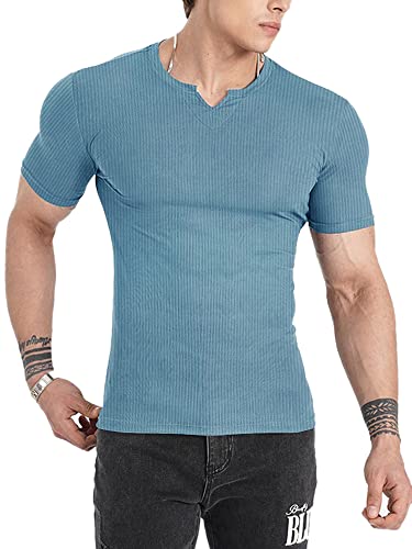 Muscle Cmdr Herren Slim Fit Langarmshirt Shirts V-Ausschnitt,Langarm&Kurzarm Sports Casual T-Shirt Muskel Workout Top Unterhemden (Blau-Kurzarm/L) von Muscle Cmdr