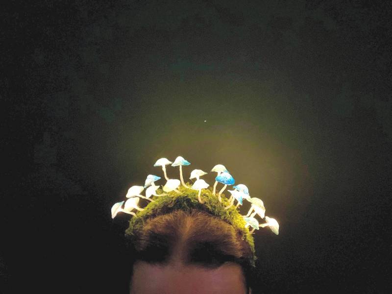 Leuchtende Pilz-Feenkrone - Halloween Rave Headpiece Woodland Fantasy Kostüm von Mushroomsland