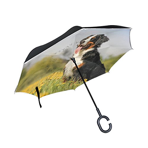 My Daily Doppelschichtiger, umgekehrter Regenschirm für Autos, Berner Sennenhund, Blumenfelder, winddicht, UV-beständig, Reise-Regenschirm von My Daily
