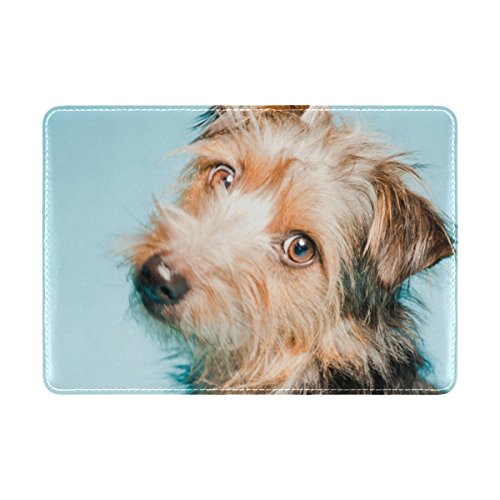 My Daily Reisepasshülle aus Leder mit süßem Yorkshire Terrier, Mehrfarbig, 6.5 x 4.5 inch, Slim Wallet von My Daily