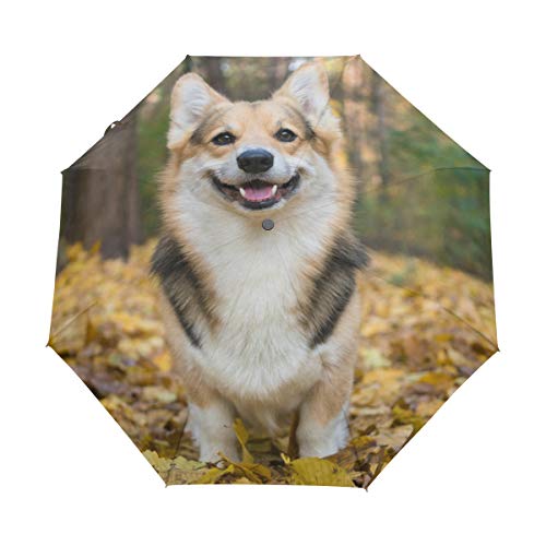 My Daily Welsh Corgi Hunde-Reise-Regenschirm, automatisches Öffnen/Schließen, leicht, kompakt, winddicht von My Daily