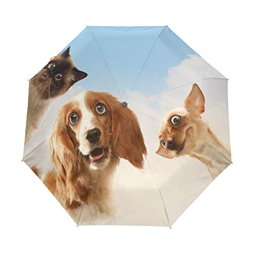 My Daily lustiger Reise-Regenschirm für Hunde und Katzen, automatisches Öffnen/Schließen, leicht, kompakt, winddicht von My Daily