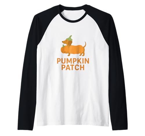 Kürbis Patch Dackel Herbst Thema Raglan Kürbis Patch Dackel Herbst Thema Raglan von My Doxie Depot by Frankie The Dapple Dachshund