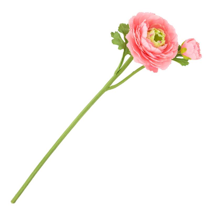 Kunstblume Ranunkel von My Home