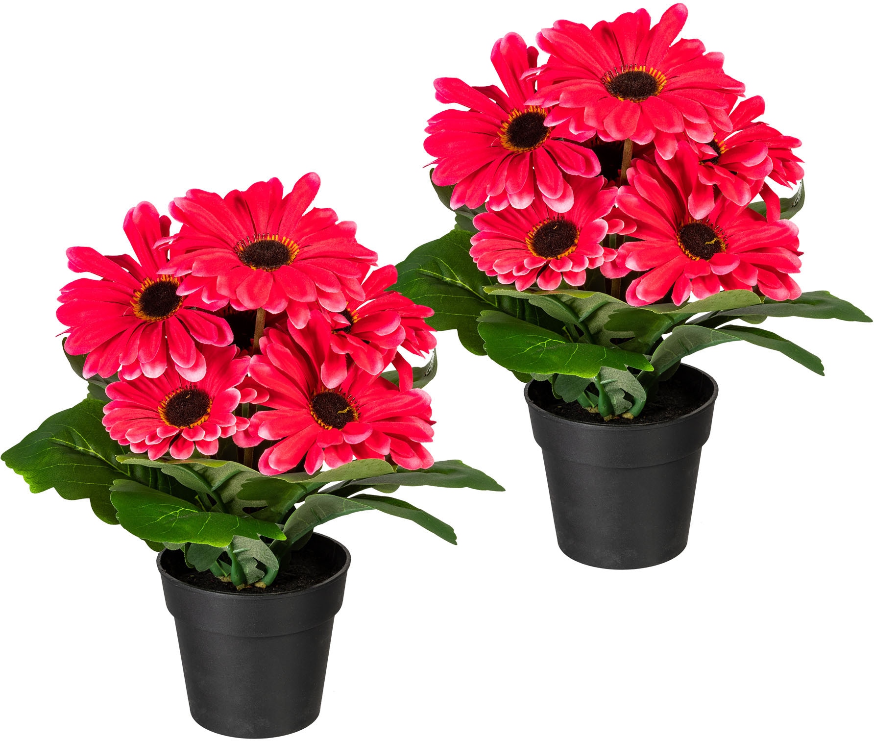 my home Kunstpflanze "Elaine" im Topf, 2er Set von My Home