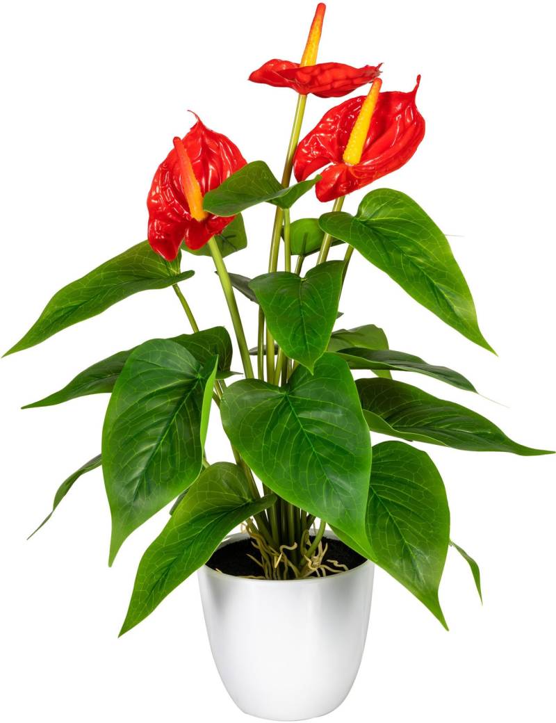 my home Kunstpflanze "Haune" im Topf von My Home