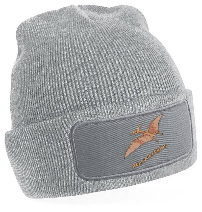 MyDesign24 Strickmütze für kalte Tage - Beanie mit Umschlag und Flugsaurier Print Coole Dino Mütze Wintermütze i55 von MyDesign24