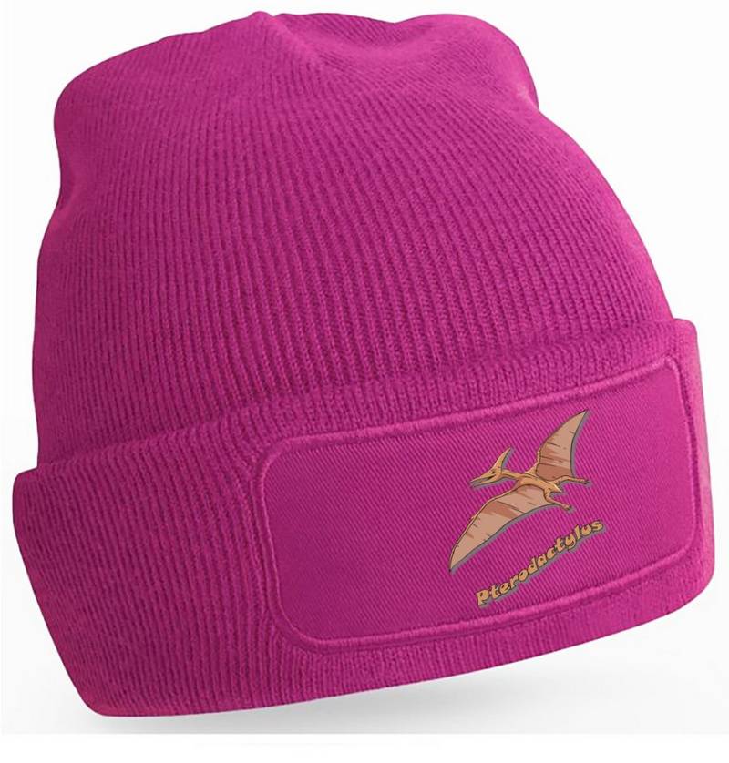 MyDesign24 Strickmütze für kalte Tage - Beanie mit Umschlag und Flugsaurier Print Coole Dino Mütze Wintermütze i55 von MyDesign24