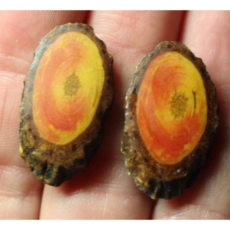 Vintage Volkskunst Holzscheiben Ohrringe Polierter Naturholz Schmuck von MySoulRepair