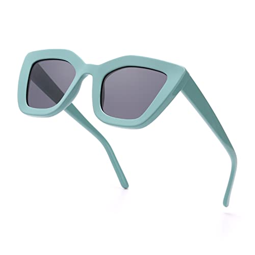 Myiaur Fashion Sonnenbrille für Damen Polarisierten UV-Schutz Frauen Katzenauge Sonnenbrille… (Blau) von Myiaur