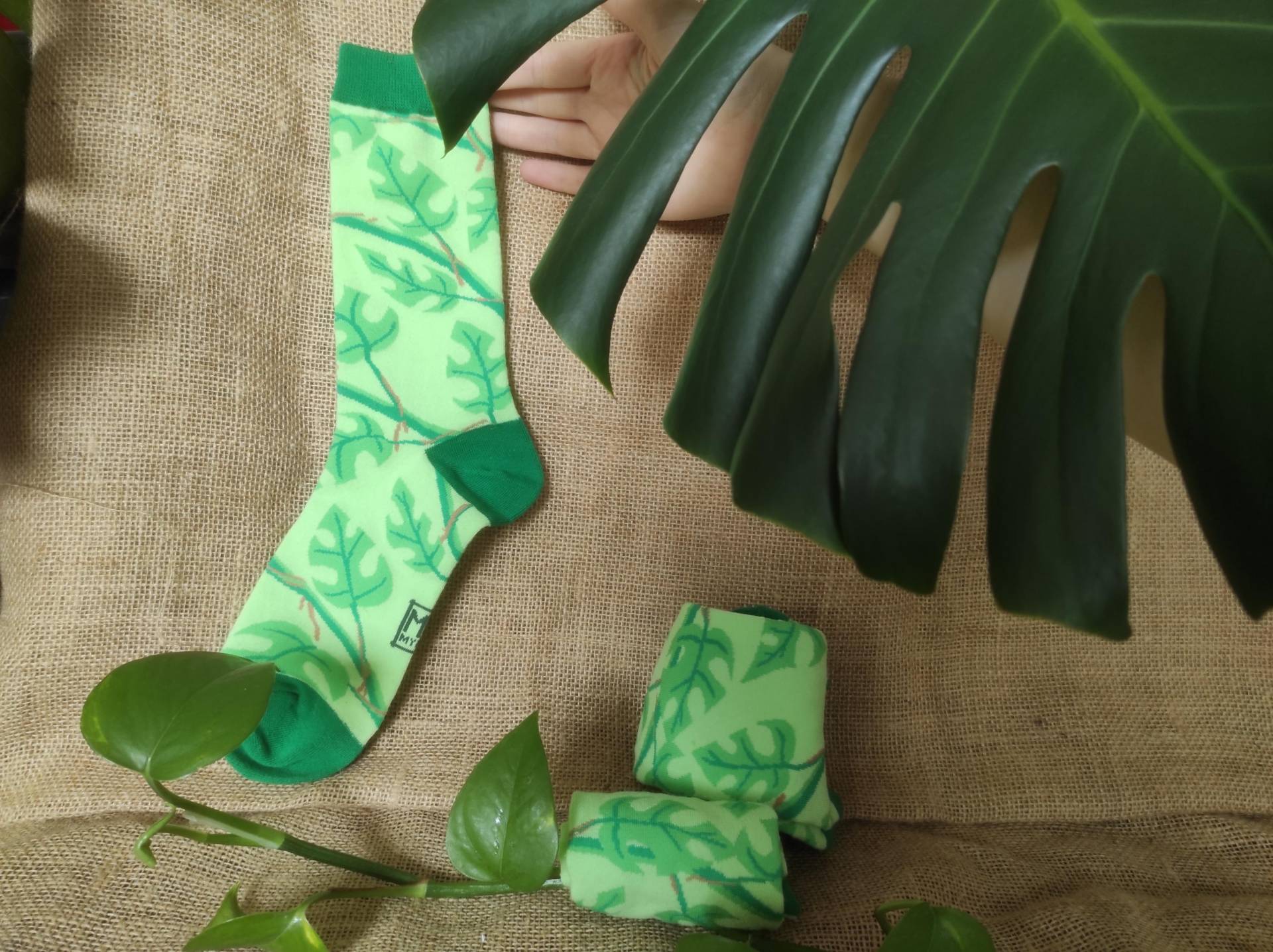 Designer Socken - Plants/Monstera von MyrithArt