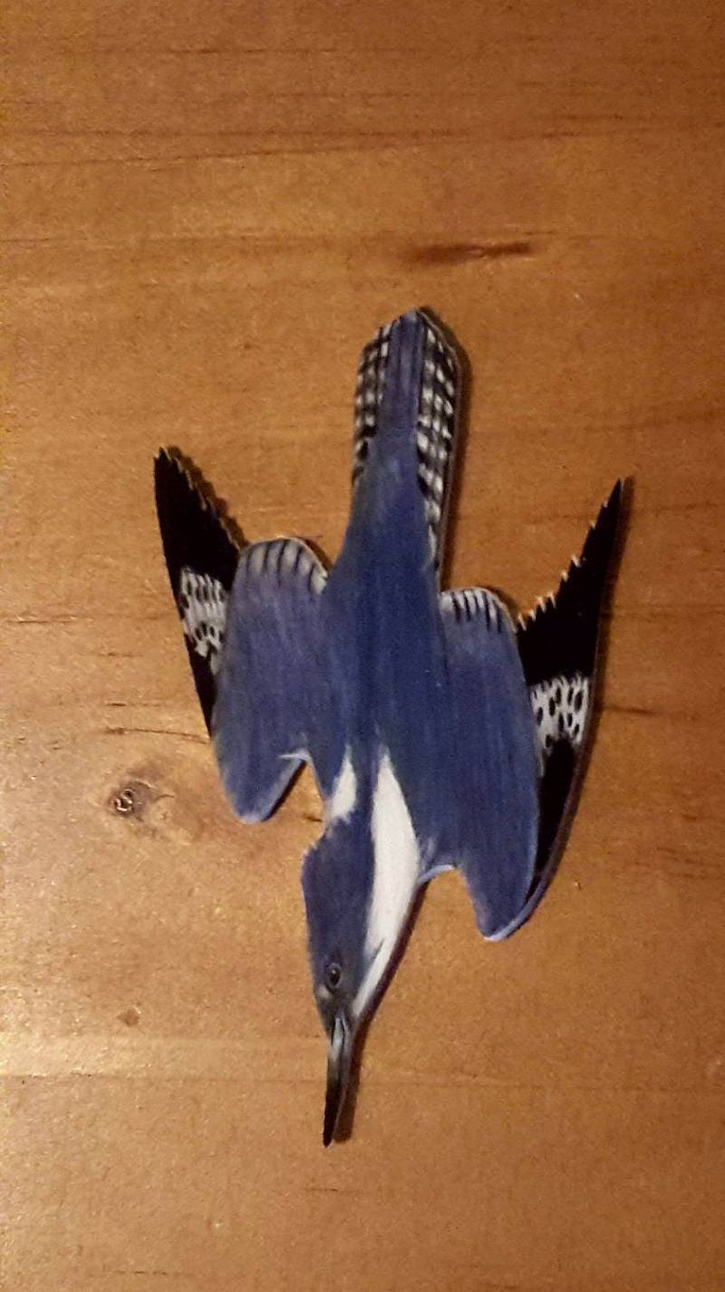 Belted Kingfisher Belted Kingfisher von MysticPals