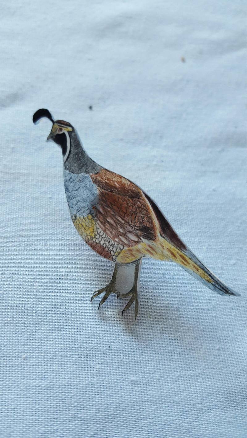 California Quail von MysticPals