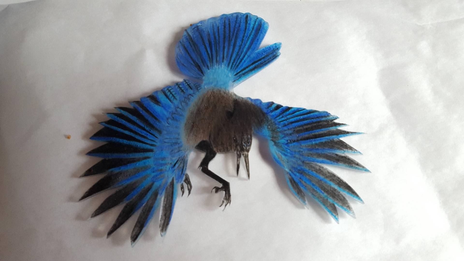 stellar Es Jay stellar Es Jay von MysticPals