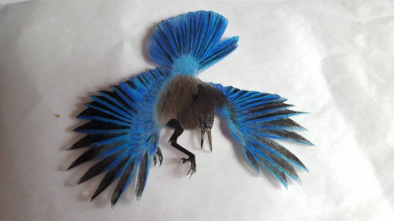 stellar Es Jay von MysticPals