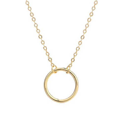 NP Fajewellery Silber 925 Anhänger Gold Farbe Kreis hängende als Anhänger für Damen Kette 46cm von N\P