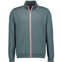 N.Z.A. Herren Pullover grün unifarben von N.Z.A.