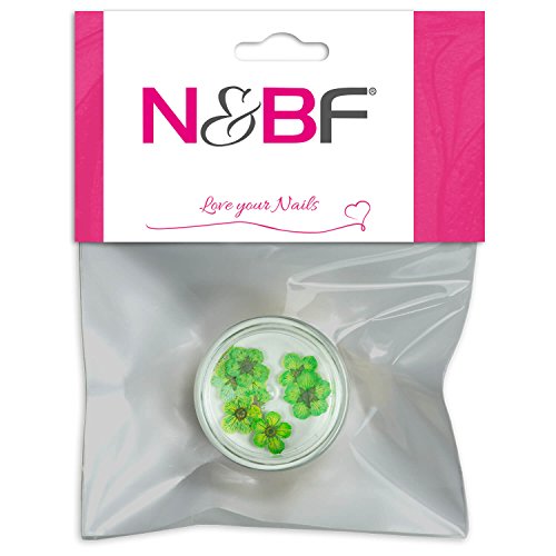 N&BF Nailart Trockenblumen | Dillblüten Kiwi (Grün) für Gelnägel | Getrocknete Blumen für Nageldesign & Maniküre | 3D Sticker | Trockene Blütenblätter Einleger | Dried Flowers Naildesign von NAILS FACTORY