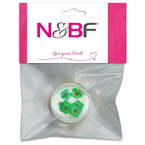 N&BF Nailart Trockenblumen | Dillblüten Light Green (Grün) für Gelnägel | Getrocknete Blumen für Nageldesign & Maniküre | 3D Sticker | Trockene Blütenblätter Einleger | Dried Flowers Naildesign von NAILS FACTORY