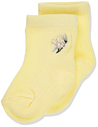 NAME IT Baby Girls NBFHOLLEY Socken, Flan, 74/80 von NAME IT