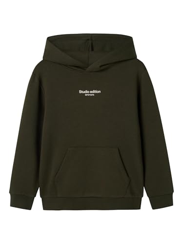 NAME IT Boy Sweatshirt Regular Fit von NAME IT