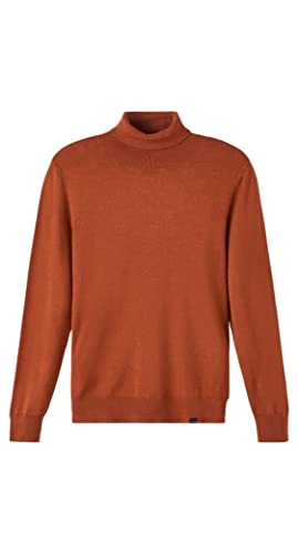 NAME IT Boys NKMRALOSO LS Rollneck Knit Pullover, Arabian Spice, 116 von NAME IT