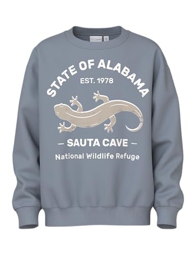 NAME IT Jungen Nkmvildar Ls Sweat Box Bru Sweatshirt, Tradewinds, 122-128 von NAME IT