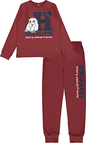 NAME IT Kinder Schlafanzug Pyjama Gryffindor nkfODEN (134, Spiced Apple) von NAME IT