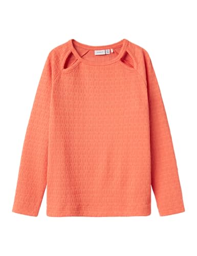 NAME IT Mädchen Nkfnanettie Top Pb Langarmshirt, Coral Quartz, 146-152 EU NAME IT Mädchen Nkfnanettie Top Pb Langarmshirt, Coral Quartz, 146-152 EU von NAME IT