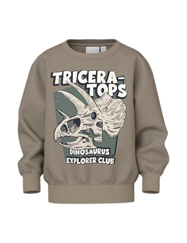 NMMVILDAR LS NREG Sweat BRU von NAME IT