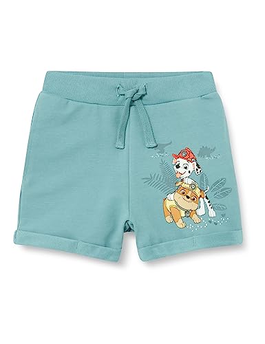 Name It Baby-Jungen NMMMILT PAWPATROL Long SWE CPLG Shorts, Stormy Weather, 110 von NAME IT