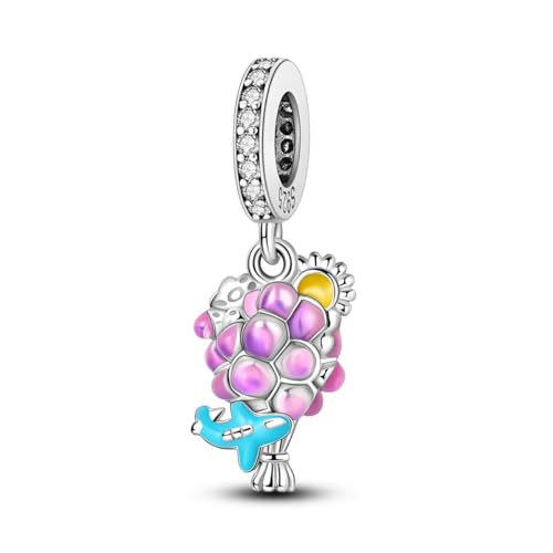 NARMO Charm Armbänder für Frauen 925 Sterling Silber Charms für Armbänder Ballon Dangle Charms von NARMO