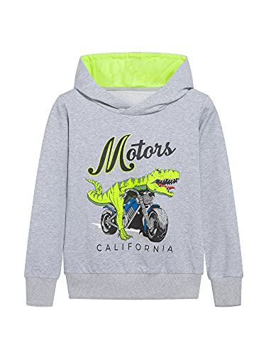 NATUST Jungen Dinosaurier Hoodie Kinder Baumwolle Kapuzenpullover Mädchen Pullover Herbst Sweatshirt Grau 116-122 von NATUST