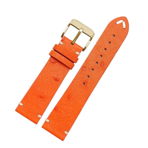 NBCNZCTSAS 20 22 mm Armband, passend for Rolex, passend for Seiko, Schwarz, Grün, passend for Water Ghost, passend for Tissot, passend for Omega, passend for Uhrenarmband aus Straußenleder. Uhrenarmbä NBCNZCTSAS 20 22 mm Armband, passend for Rolex, passend for Seiko, Schwarz, Grün, passend for Water Ghost, passend for Tissot, passend for Omega, passend for Uhrenarmband aus Straußenleder. Uhrenarmbä von NBCNZCTSAS