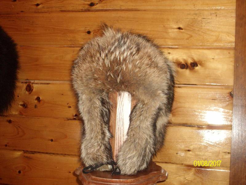Kojote Hut Größe 7" - 8" Kojote Hut Größe 7" - 8" von NCOfurs
