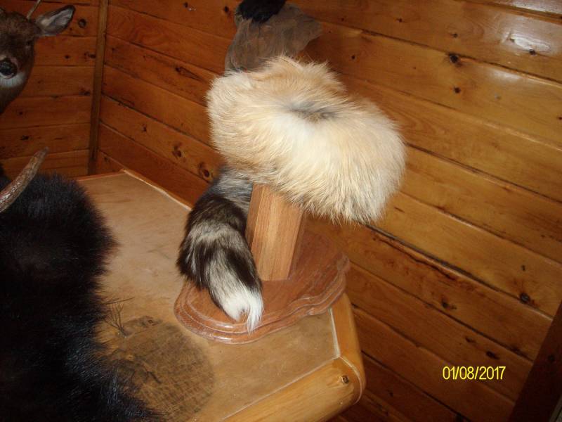 Roter Fuchs Hut Größe 6" - 7" Roter Fuchs Hut Größe 6" - 7" von NCOfurs