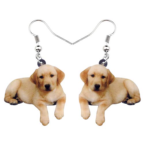 NEWEI Acryl Süße Labrador Retriever Hund Gefahr Ohrringe Tropfen Tier Schmuck Für Frauen Mädchen Geschenk Charm Zubehör (Braun) von NEWEI