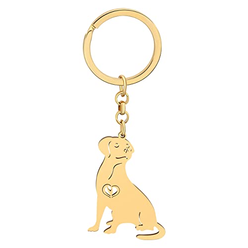 NEWEI Edelstahl Hund Schlüsselanhänger Cute Pet Hund Schlüsselanhänger für Frauen Mädchen Geldbörse Autoschlüssel Charms (Goldplattierter Labrador) von NEWEI