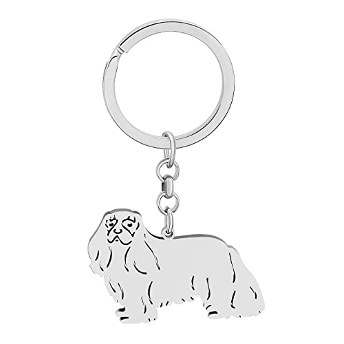 NEWEI Edelstahl Hund Schlüsselanhänger Cute Pet Hund Schlüsselanhänger für Frauen Mädchen Geldbörse Autoschlüssel Charms (Versilberter Cavalier King Charles Spaniel) von NEWEI