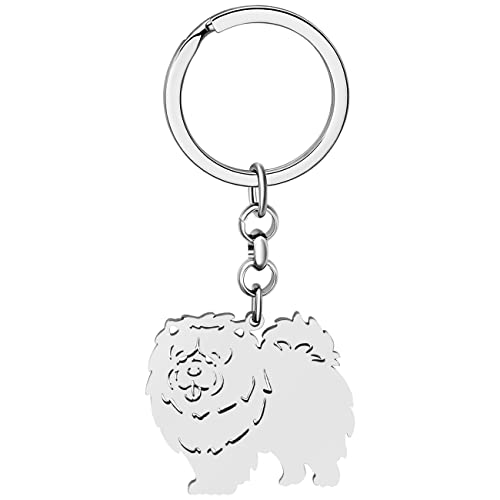 NEWEI Edelstahl Hund Schlüsselanhänger Cute Pet Hund Schlüsselanhänger für Frauen Mädchen Geldbörse Autoschlüssel Charms (Versilberter Chow Chow) von NEWEI